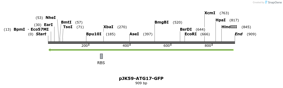 67734_map
