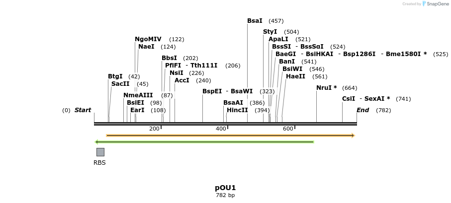 67738_map