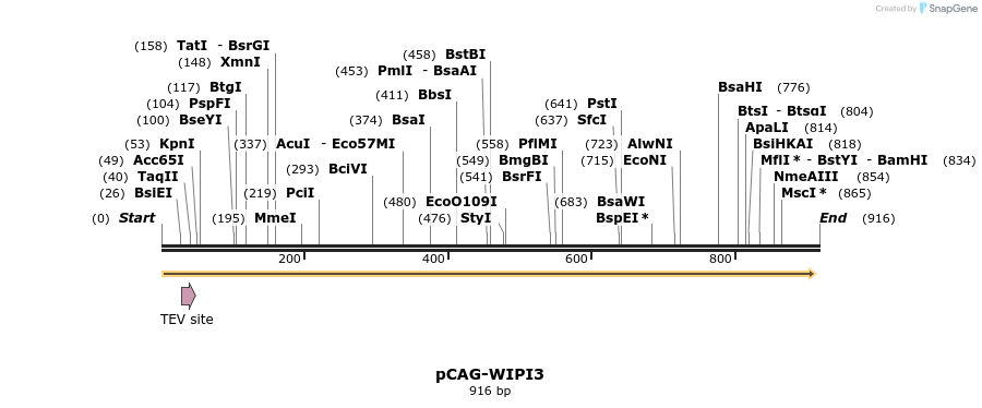 67739_map