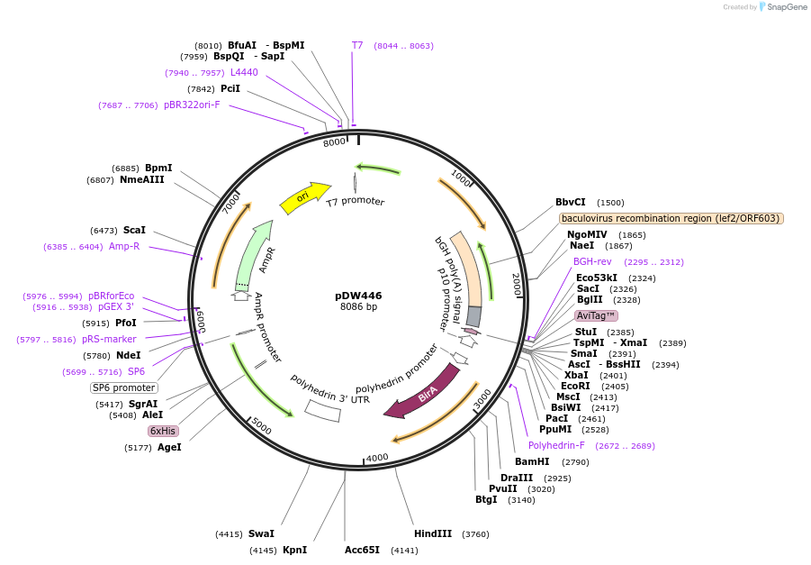 6774_map