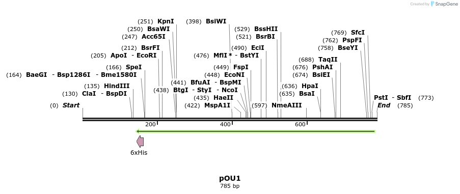 67740_map