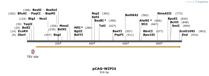 67741_map