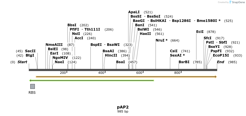 67744_map
