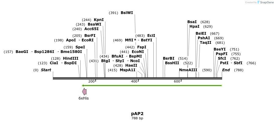 67747_map