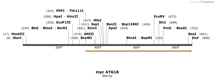 67755_map