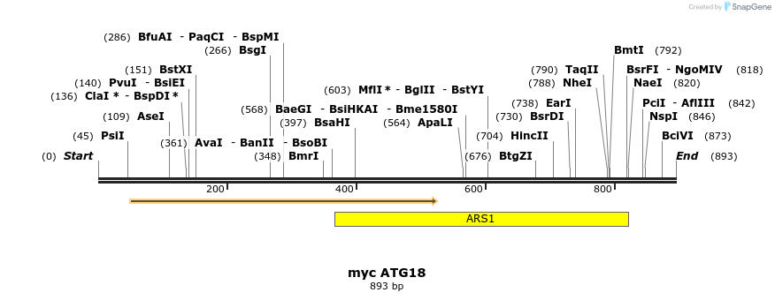 67759_map