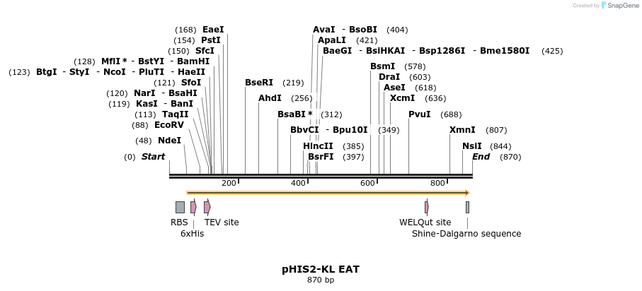 67769_map