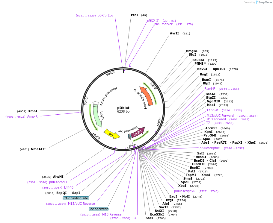 6777_map