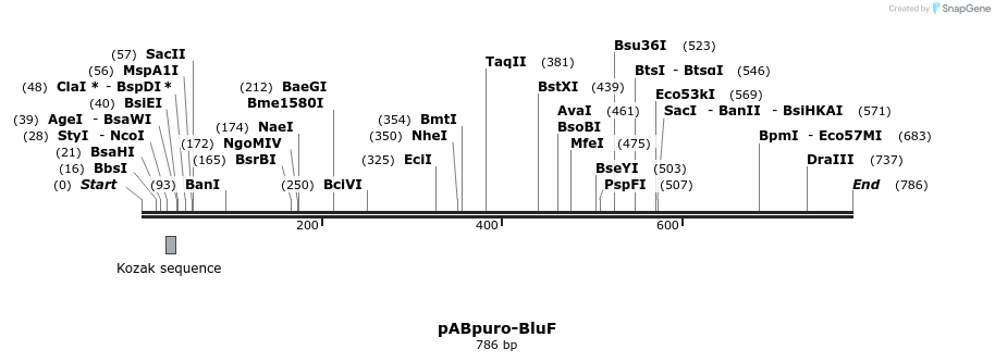 67777_map