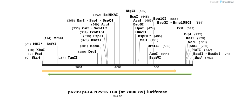67784_map