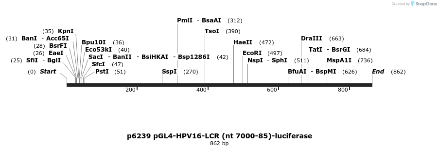 67785_map
