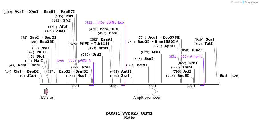 67791_map