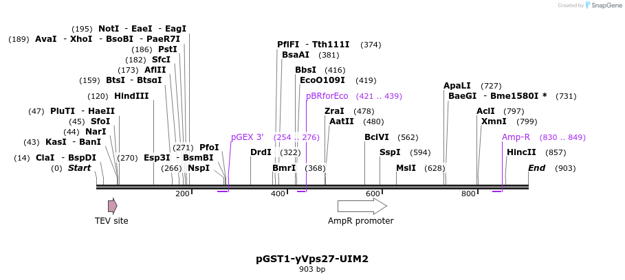 67794_map