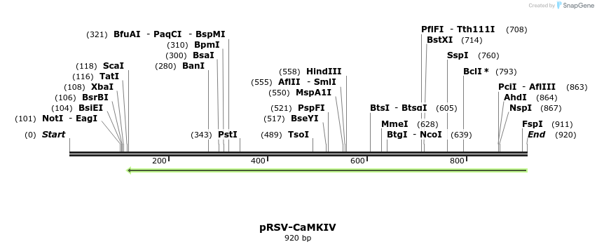 67798_map