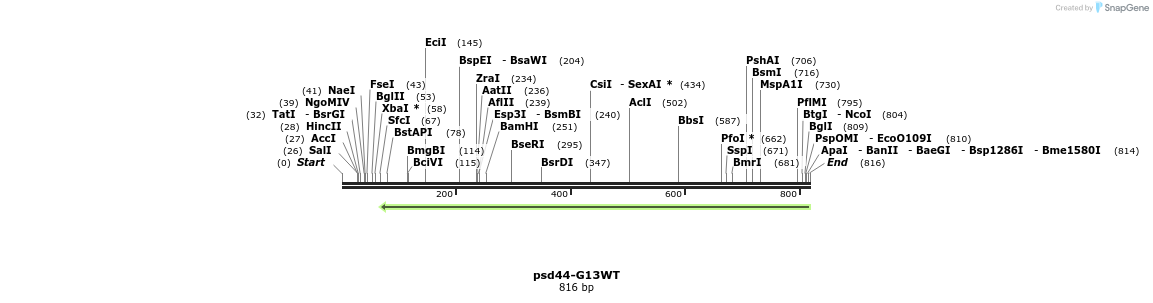 67801_map