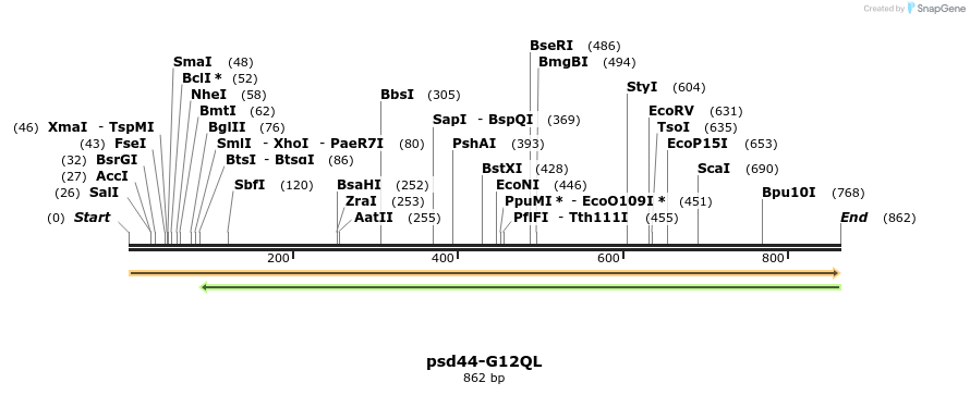 67802_map