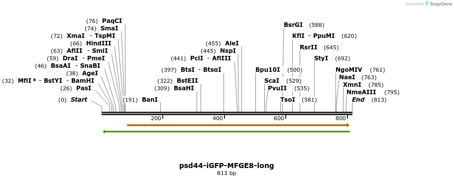 67805_map
