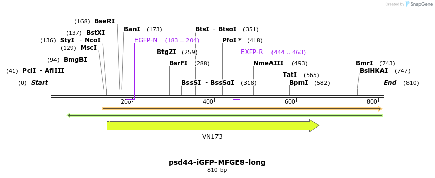 67811_map