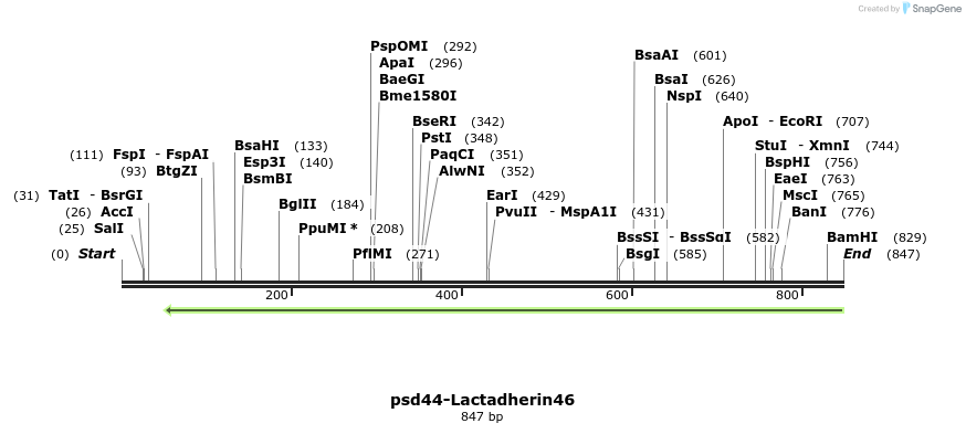 67812_map