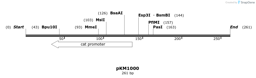 67813_map