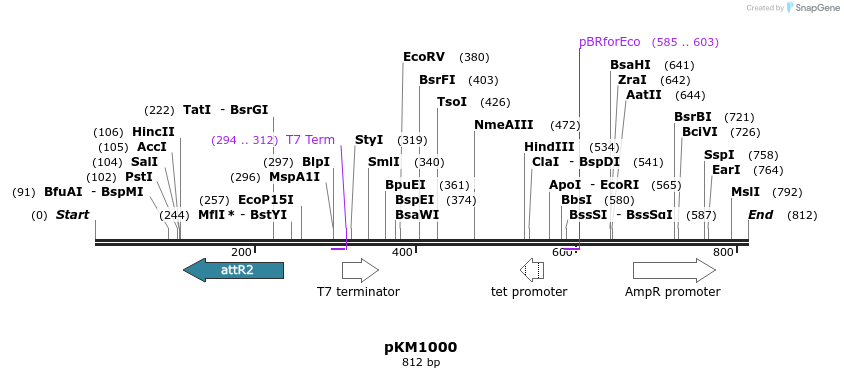 67814_map