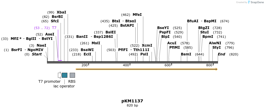 67815_map