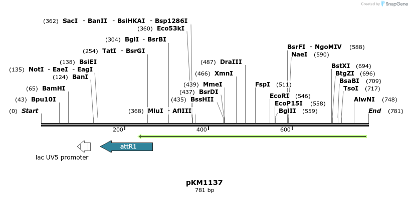 67816_map
