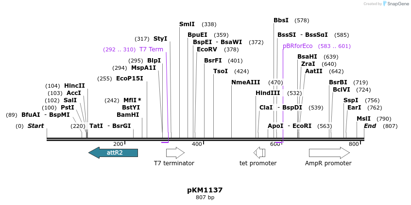 67817_map