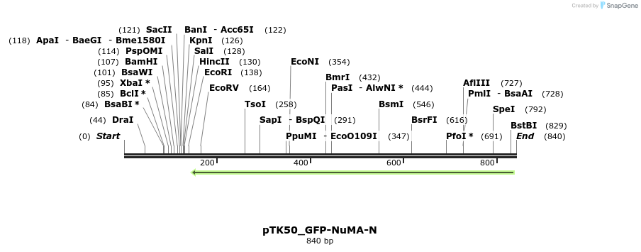 67820_map