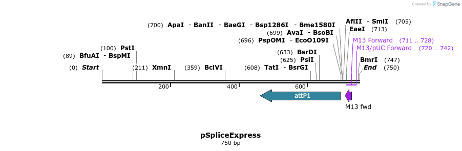 67823_map