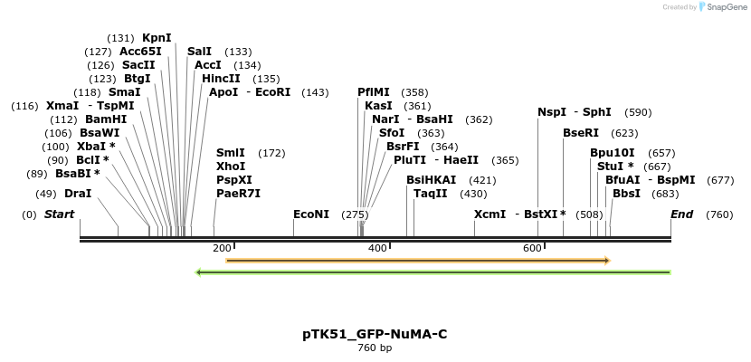 67825_map