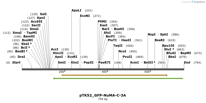 67829_map
