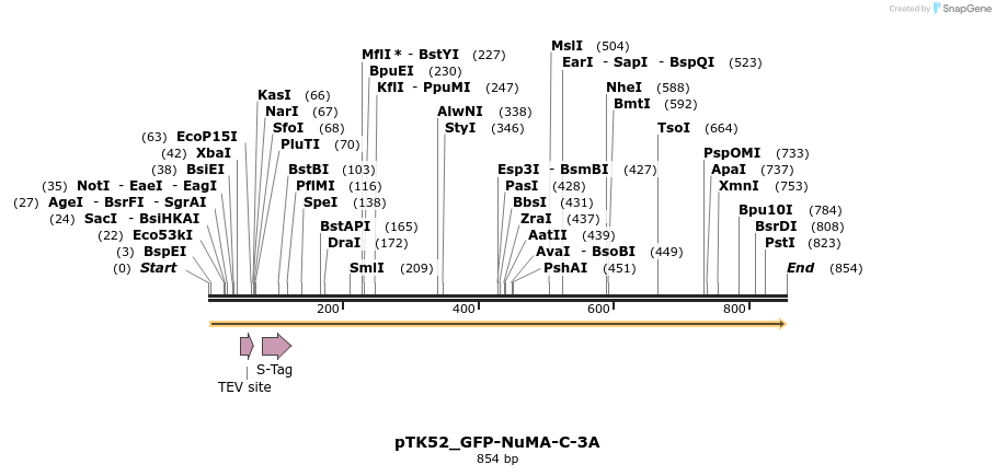67832_map
