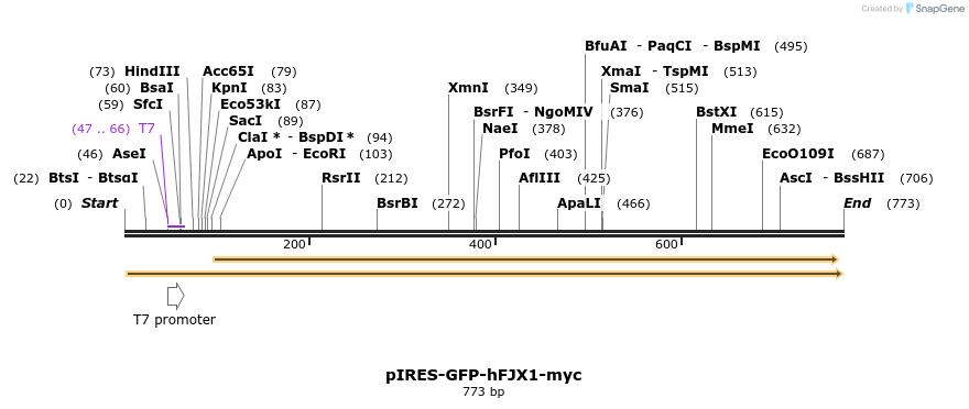 67839_map