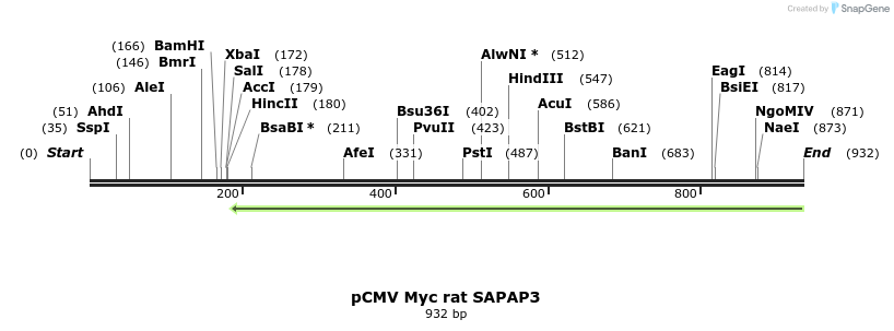 67840_map