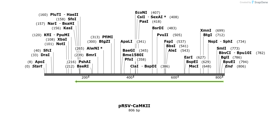 67843_map