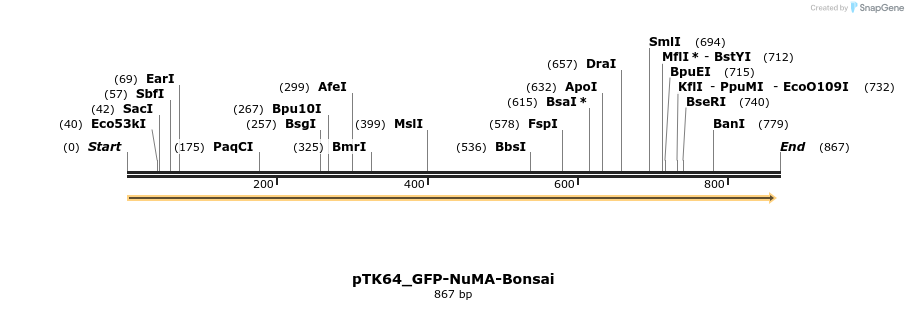 67844_map