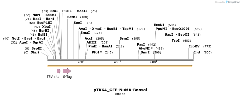 67847_map