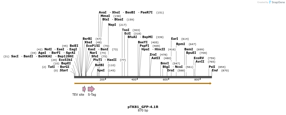 67849_map