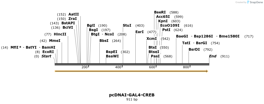 67857_map