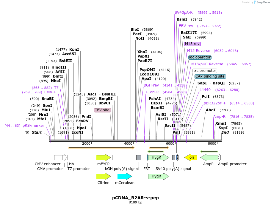 67860_map