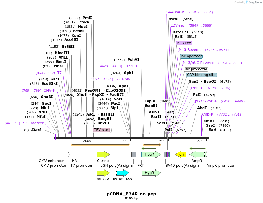 67861_map