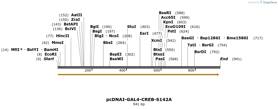 67862_map