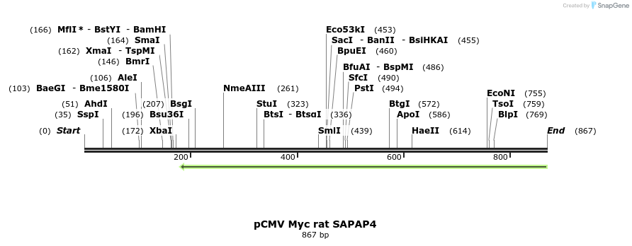 67863_map