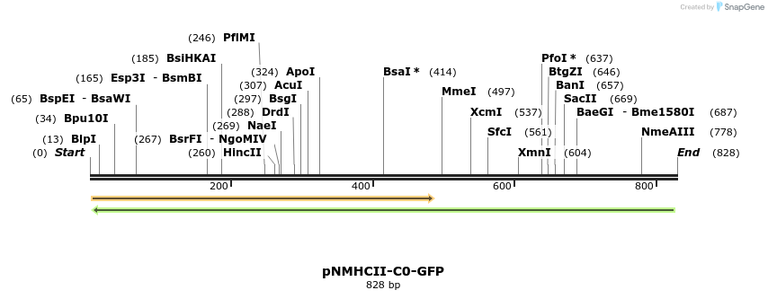 67870_map