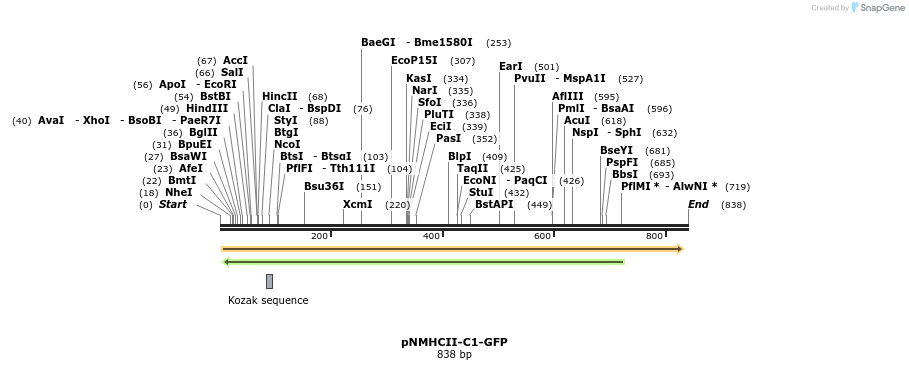67871_map
