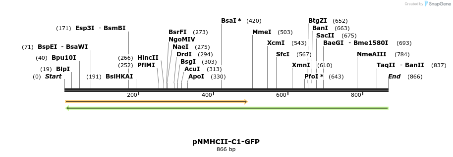 67873_map