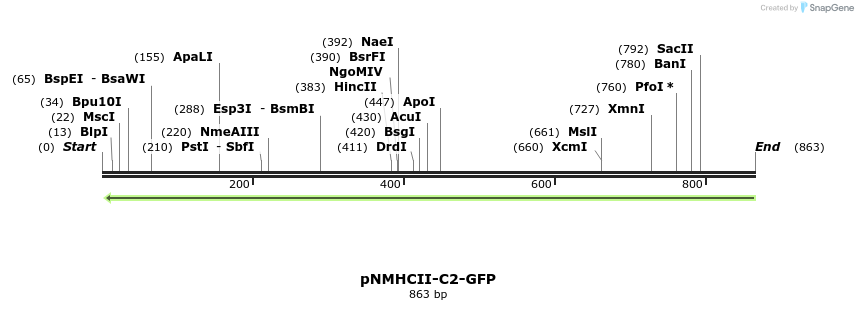 67876_map