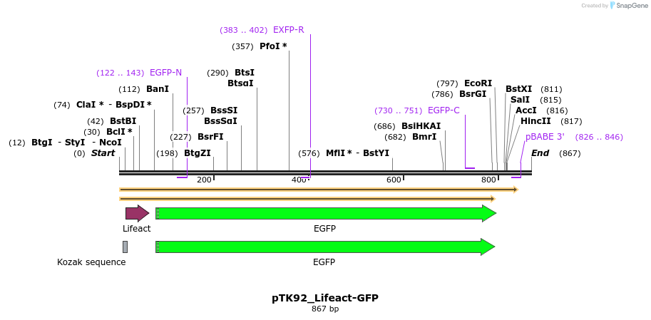 67880_map