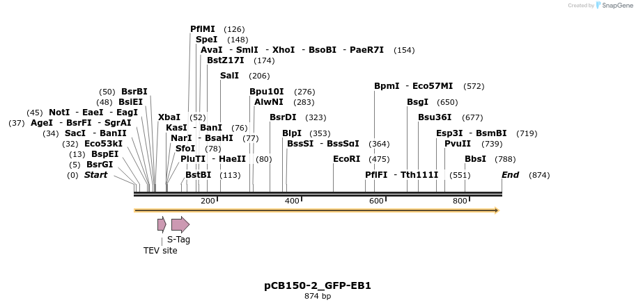 67885_map